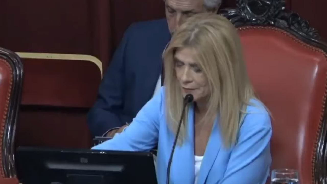 Ley Impositiva 2020: Tratamiento en la Cámara de Senadores Bonaerense