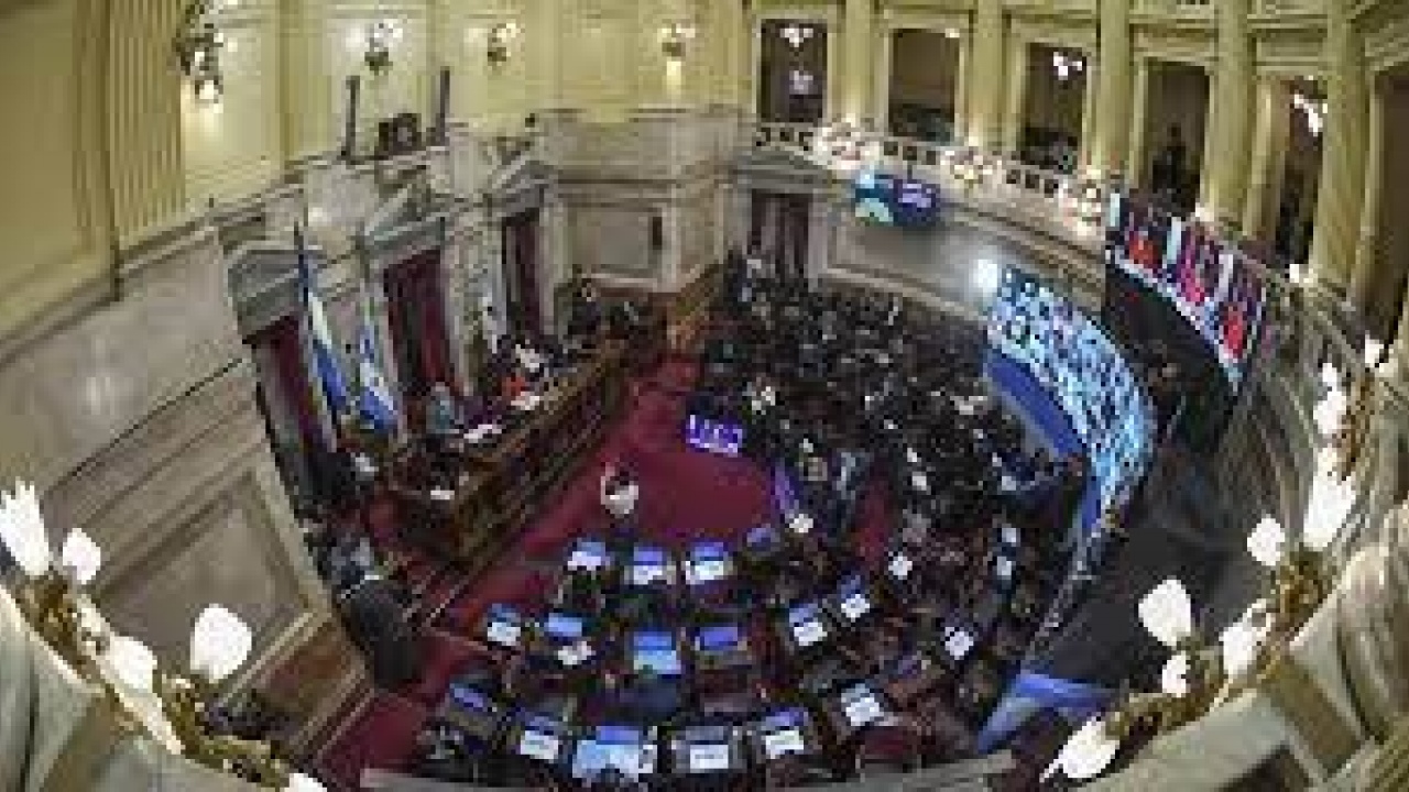 Deuda con el FMI: Comienza el debate en el Senado por el impuesto a "fugadores"